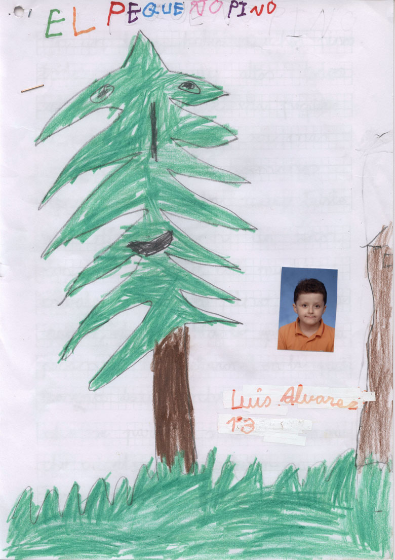 El pequeño pino