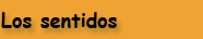 Los sentidos