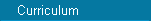 Currículum